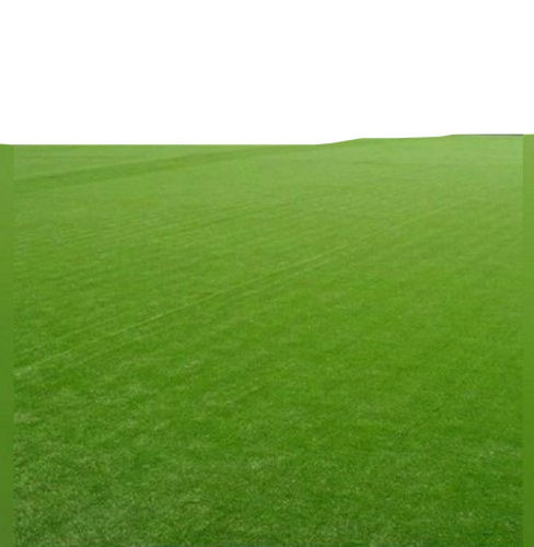 Green Skin Friendly Rectangular Artificial Grass Carpet Flooring (25 Mm Thick)