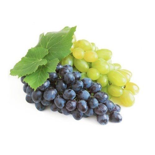 A Grade Fresh And Sweet Grapes
