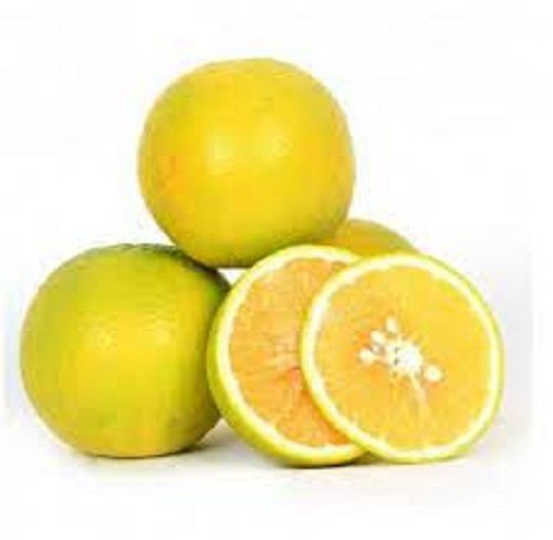 100% Organic Natural A Grade Fresh And Sweet Lime