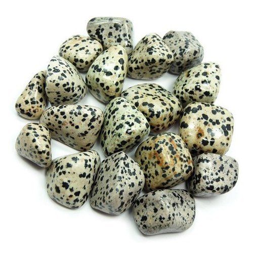 Dalmatian Jasper Tumbled Stone