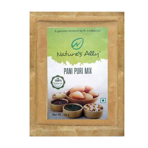 Natures Ally Instant Natural Pani Puri Mix, Net Weight 40 Gram