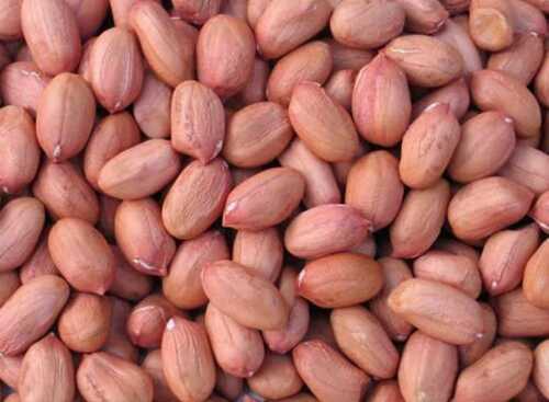 100% Pure High Nutrition Bold Groundnut (Peanut) Kernel