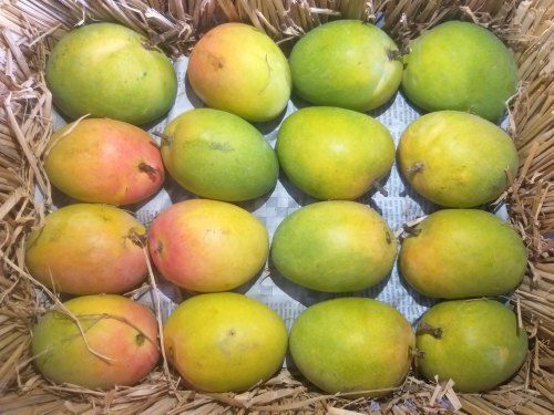 Green Dasheri Mango, Crate, Packaging Size: 20 Kg