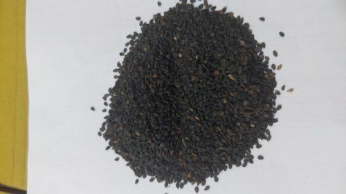 Black Natural Sesame Seeds, For Oil, Packaging Size: Bags Application: Industrial