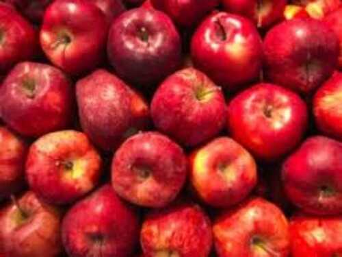 स्वास्थ्य के लिए अच्छा कीटनाशक मुक्त लाल ताजा सेब
