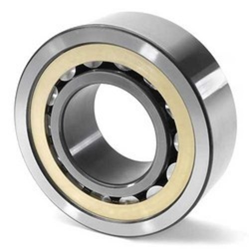 Stainless Steel Double Row Cylindrical Roller Bearing at Best Price in