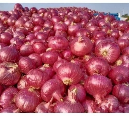 50 Kg Medium Size Pink Onion, Gunny Bag Packaging