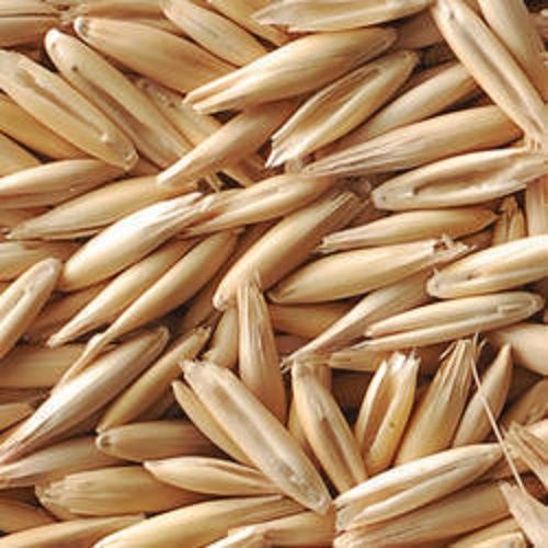 Oat Seeds Admixture (%): 1.2%