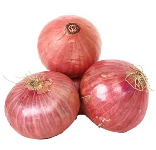 A Grade Fresh Pink Onion For Human Consumption, 10 Kg Bag Packaging