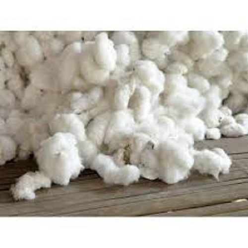 White Cotton