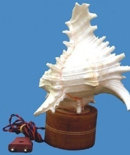 Shell Table Lamp