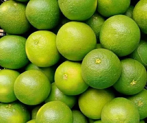 A Grade Green Fresh Sweet Mosambi Lime, Packaging Size 15-20 Kg