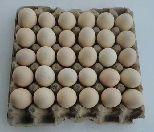 Aseel Brown Desi Eggs, For Restaurant, Packaging Type: Tray