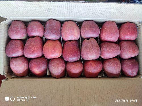 Shimla Himachali Fresh Organic Apple, Packaging Size: 28 Kg, Packaging  Type: Carton