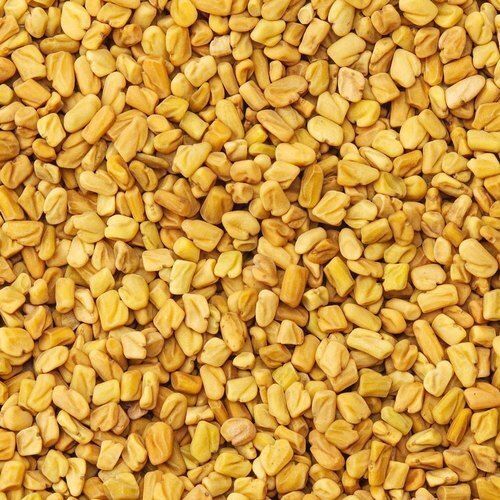 No Artificial Color Chemical Free Natural Rich Taste Dried Organic Fenugreek Seeds