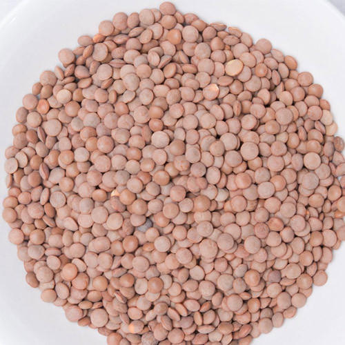 Easy To Cook Rich in Protein Natural Taste Dried Whole Masoor Dal