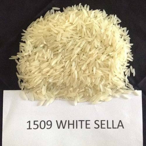 Chemical Free Natural Taste Long Grain Dried 1509 White Sella Basmati Rice