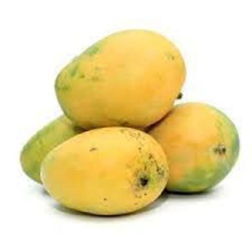 Chemical Free No Pesticides Rich Natural Fine Taste Yellow Fresh Himsagar Mango