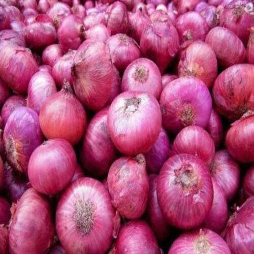 Enhance The Flavor Chemical Free Rich Natural Taste Organic Pink Fresh Onion