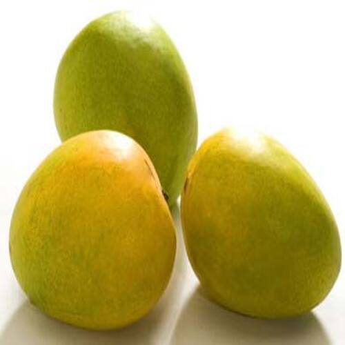 No Preservatives Chemical Free Rich Natural Fine Taste Fresh Neelam Mango