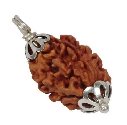 5 to 20 mm Size Brown Natural Daily Wear 3 Mukhi Natural Rudraksha Beads