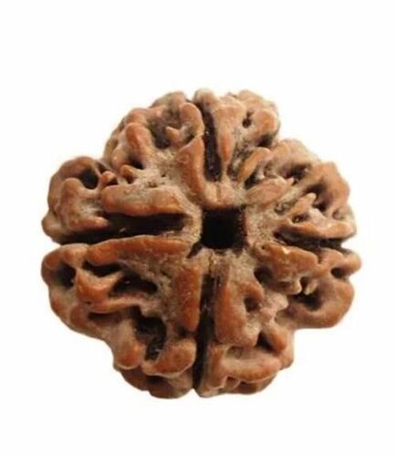 5 To 20 Mm Size Brown Natural Daily Wear 4 Mukhi Natural Rudraksha Beads With Silver Pendant Industrial