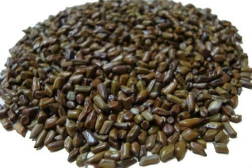 Cassia Tora Seed