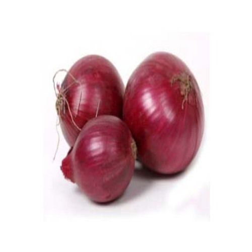 Chemical Free Enhance The Flavor Rich Healthy Natural Taste Fresh Red Onion