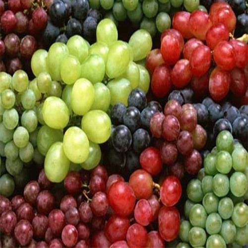 Chemical Free No Artificial Color Rich Sweet Delicious Taste Fresh Grapes