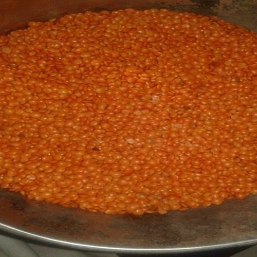 A Grade Common Cultivated Indian Origin Healthy 100 Percent Purity Whole Masoor Dal