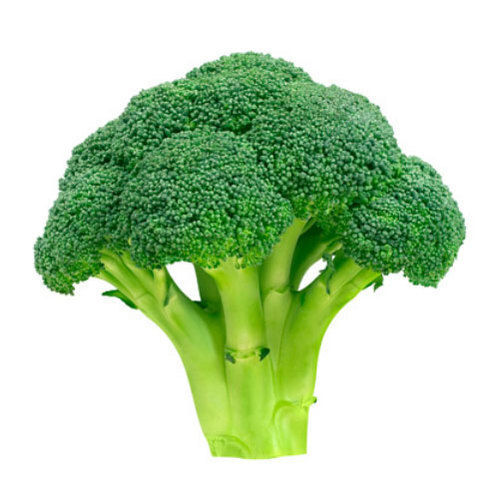 Rich Natural Taste Chemical Free Healthy To Eat Organic Green Fresh Broccoli