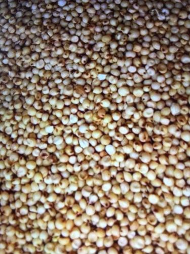 Dried Sorghum Seeds (Jowar) With 12 Months Shelf Life