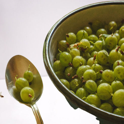 Easy to Digest Healthy Rich Natural Taste Green Organic Fresh Gooseberry