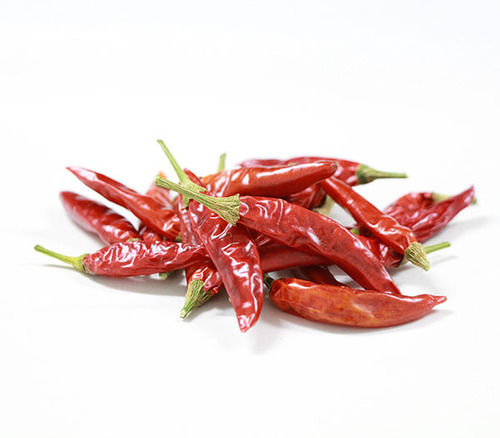 Hot Spicy Natural Taste Chemical Free No Artificial Color Fresh Red Chilli
