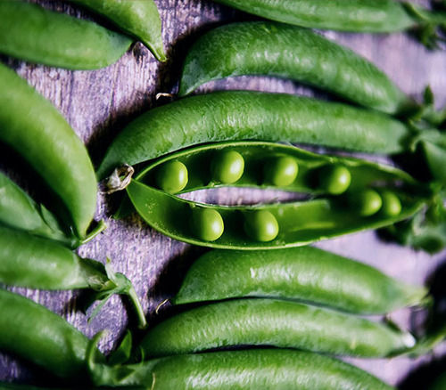 Rich Delicious Healthy Natural Taste Chemical Free Fresh Green Peas