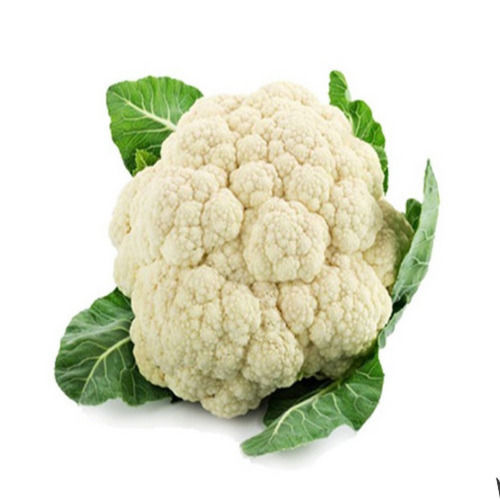 Chemical Free Rich Natural Delicious Taste Organic White Fresh Cauliflower