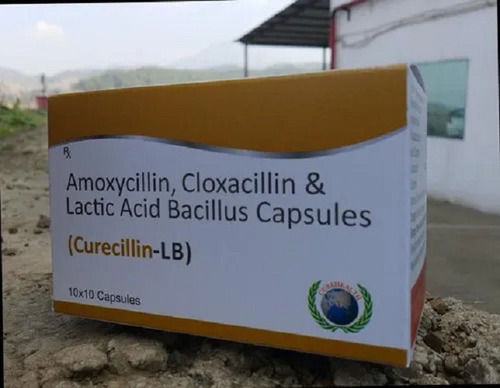 Curecillin-Lb Amoxicillin, Cloxacillin And Lactic Acid Bacillus Antibiotic Capsules