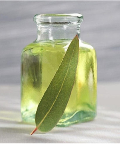 बुखार और संक्रमण के उपयोग के लिए प्राकृतिक और शुद्ध नीलगिरी का तेल