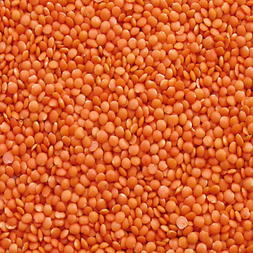 Easy to Cook Rich in Protein Healthy Natural Taste Dried Red Split Lentils