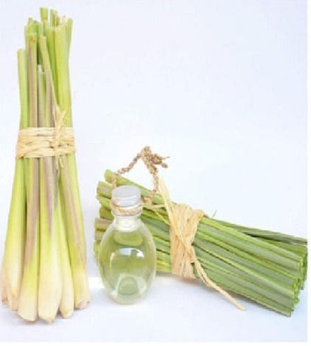 Lemongrass Essential Oil For Aid Wound Care And Freshness