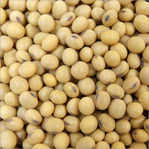 Black Rich Natural Delicious Taste Chemical Free Organic Fresh Soybean Seeds