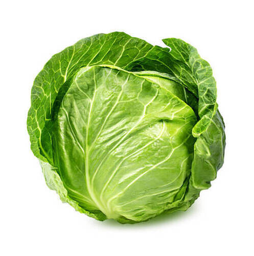 Floury Texture Healthy Rich Natural Fine Taste Green Fresh Cabbage