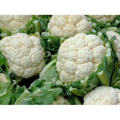 No Artificial Flavour Rich Natural Delicious Taste White Fresh Cauliflower