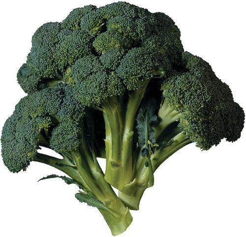 Rich Natural Taste Chemical Free Healthy To Eat Green Fresh Broccoli Age Group: 2-8