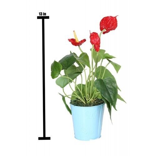 Artificial 13 Inch Red Flower Anthurium Plant For Decoration