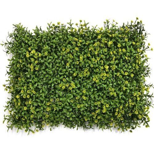 Artificial Oneb-Ag-036 Vertical Wall Covering Grass Mat, 40 X 60Cm Dosage Form: Tablet