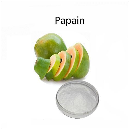 Fine Grade Papain Powder