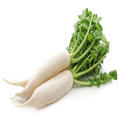 High fiber Chemical Free Healthy Natural Rich Taste White Fresh Radish