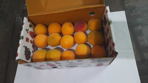 100 Percent Natural and Pure Impurity Free Apricot Fruit