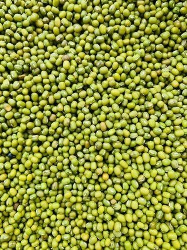 Fresh Pure Raw Healthy Organic Whole Green Moong Dal For Cooking